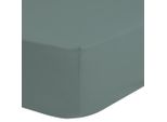 Lenzuolo Teso In Jersey Good Morning 90/100X220 Cm Verde Nebbia