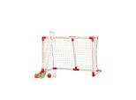 My Hood Hockey Goal