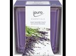Ipuro IFC2210 Duftkerze Lavender Touch Lila Lavender