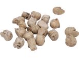 20Pcs Teschio In Miniatura In Resina Realistica Testa Di Scheletro Riutilizzabile Per Micro Paesaggio Giardino Vaso Decorazione