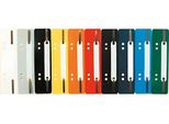 Exacompta 426025B Strisce Di Graffatura 35 X 150 Mm Pp Colori Assortiti