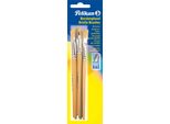 Set Di Pennelli In Setola Pelikan 613 F 10 Pezzi Assortiti Per Misura 2 X 4, 6, 8, 10, 12