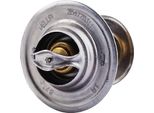Termostato Liquido Di Raffreddamento Hella Per Vw Golf Ii (19E/ 1G1)