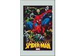 Spiderman Eroe Marvel - Specchio Stampato 20X30 Cm Con Cornice In Plastica