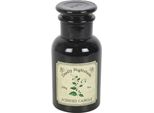 Something Different - Candela "Deadly Nightshade"" SD10509 (Taglia Unica) (Nero)"