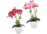 Kunstorchidee Creativ Green "Orchidee Phalaenopsis", Bunt, H:40Cm, Kunststoff, Kunstpflanzen, Mit Eukalyptuszweigen