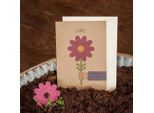 Die StadtgäRtner - Biglietto Di Ringraziamento Con Carta Di Semi I Biglietto Di Auguri Per Diverse Occasioni Con Motivo Floreale I Carta Di Semi Con Semi Di Fiori Selvatici I Biglietto Con Busta I 10,5 X 14,8 Cm (Din A6)