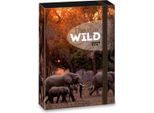 Ars Una A4 Scatola Per Quaderni, Cartella Per Cartelle, Con Elastico E Alette Interne, The Eye Of The Wild - Elephants
