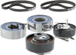 Set Di Cinghie Dentate Snr KD459,63