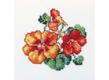 Rto Set Punto Croce "Nasturzio"" H244, Motivo Di Conteggio, 10X10 Cm"
