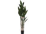 Pianta Decorativa Dkd Home Decor (90 X 90 X 200 Cm)