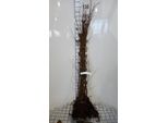 10 X Betula Pendula (Alba/Verrucosa) - Betulla Della Sabbia. 60-90 Cm - Radice Nuda