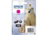 Epson Polar Bear C13T26134012 Cartuccia D'inchiostro 1 Pz Originale Resa Standard Magenta