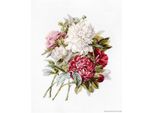 Luca-S Set Per Punto Croce "Bouquet Di Peonie"", Schema Contato, 22,5X28,5Cm"