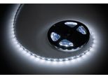 Rebel 5M Led Bianco Freddo 12V 5050SMD IP20