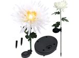 Set Di Lampade Solari 2X Lampade Led Fiori Solari Crisantemo Gogarden