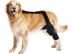 Inf Tutore Posteriore Per Gamba Di Cane Con Supporto - Recupero Fratture E Lesioni L