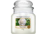 Yankee Candle Camellia Blossom Candela Media 411G