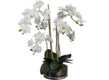 **Pianta Artificiale Di Orchidea Phalaenopsis In Vetro, Altezza 50 Cm, Elegante Decorazione Bianca