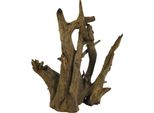 Corbo-Wurzel Small (30-40 Cm)