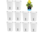Wmlbk Sistema Di Alimentazione Dell'acqua Per Vasi Di Fiori In Plastica, Set Di 10 Vasi Auto-Irrigazione, Diffusione Di Piante Rotonde Piante Da Giardino Balcone Interno (12,5 Cm)
