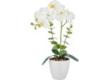 Set Di 2 Piante Artificiali Phalaenopsis Bianche 40Cm Con Real Touch In Vaso Di Melamina Bianco 9X9Cm