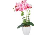 Set Di 2 Piante Artificiali Phalaenopsis 40 Cm Rosa Real Touch In Vaso Bianco Di Melamina 9X9 Cm Facile Da Curare