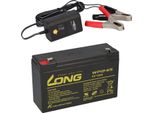 Batteria Agm A Piombo 6V 12Ah Compatibile Con Ups Lead Gel + Caricatore