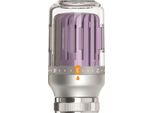 Testa Termostatica Per Radiatori In Cristallo M30X1,5 Grigio - Viola