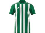 Koszulka Adidas Striped 21 Jsy H35644 S