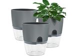 Vaso Da Fiori In Plastica, 3 Pezzi, Vaso Per Erbe Da 23,5 Cm Con Riserva D'acqua, Piante Moderne, Fiori, Erbe - Grigio