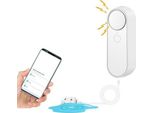 Sensore Di Allarme Acqua Dewin, Rilevatore Di Perdite Wifi, Monitoraggio Remoto Del Livello Sonoro Di 90 Db