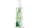 Lirene Power Of Plants Tonico Idratante All'aloe Vera, 200 Ml - A Lunga Durata!