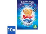 Robijn Sacchetto Di Profumo Intense 3 Pezzi - Confezione Valore - 10 Pezzi