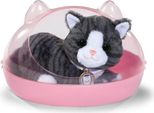 Zapf Baby Nato Il Mio Gattino Biscotto Con Scatola