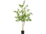 Albero Di Ulivo Artificiale, Design Realistico, Facile Da Montare, 150(59In)