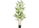 Albero Di Ulivo Artificiale, Design Realistico, Facile Da Montare, 180(70In)