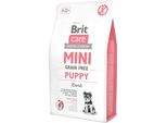 Brit 2Kg Grainfree Puppy Lamb