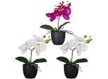 Kunstorchidee Creativ Green "Orchidee Phalaenopsis", Bunt, H:23Cm, Kunststoff, Kunstpflanzen, Mit Naturgetreuen BlüTen