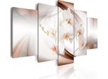 Quadri Su Tela Fiori 200X100 Cm In Tessuto Non Tessuto 5 Pezzi Stampa D'arte Moderna Arte Murale Xxl Decorazione Murale Design Quadro Murale - Orchidea Astratta Beige Bianco 020110-1