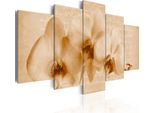 Quadri Su Tela Fiori 200X100 Cm In Tessuto Non Tessuto 5 Pezzi Stampa D'arte Moderna Arte Murale Xxl Decorazione Murale Design Quadro Murale - Orchidea Vintage Beige 020110-74