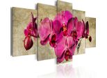 Quadri Su Tela Fiori 200X100 Cm In Tessuto Non Tessuto 5 Pezzi Stampa D'arte Moderna Arte Murale Xxl Decorazione Murale Design Quadro Murale - Orchidea Rosa 020110-53