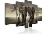 Quadro Su Tela Astratto 200X100 Cm Quadro Su Tela Non Tessuta 5 Pezzi Stampa D'arte Moderna Arte Murale Xxl Decorazione Murale Design Quadro Murale - Animali Elefante Modo Paesaggio 020116-26