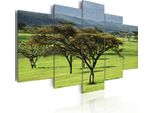 Quadro Su Tela Natura 200X100 Cm In Tessuto Non Tessuto 5 Pezzi Stampa D'arte Moderna Arte Murale Xxl Decorazione Murale Design Quadro Murale - Alberi Paesaggio 030213-8