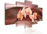 Quadri Su Tela Fiori 200X100 Cm In Tessuto Non Tessuto 5 Pezzi Stampa D'arte Moderna Arte Murale Xxl Decorazione Murale Design Quadro Murale - Orchidea Astratta 020110-12