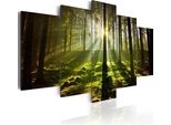 Quadro Su Tela Paesaggio Forestale 200X100 Cm In Tessuto Non Tessuto 5 Pezzi Stampa D'arte Moderna Arte Murale Xxl Decorazione Murale Design Quadro Murale - Natura Alberi Sole 030213-34