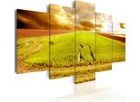 Quadro Su Tela Agricoltura 200X100 Cm In Tessuto Non Tessuto 5 Pezzi Stampa D'arte Moderna Arte Murale Xxl Decorazione Murale Design Quadro Murale - Felder Nature Getriede 030212-53