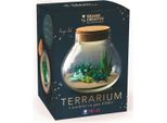 Set Di Terrari In Argilla Polimerica Fimo - Set Creativo Per Adulti
