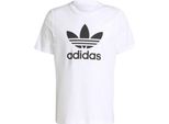 Adidas Magliette Trefoil Tshirt, H06644, Taglia: 176