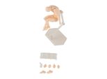 Action Figure Corpo Regolabile Pose Mobili Durevole Pvc Diffuso Manichini Per Ufficio Famiglia Colore Della Pelle Uomo Uomo